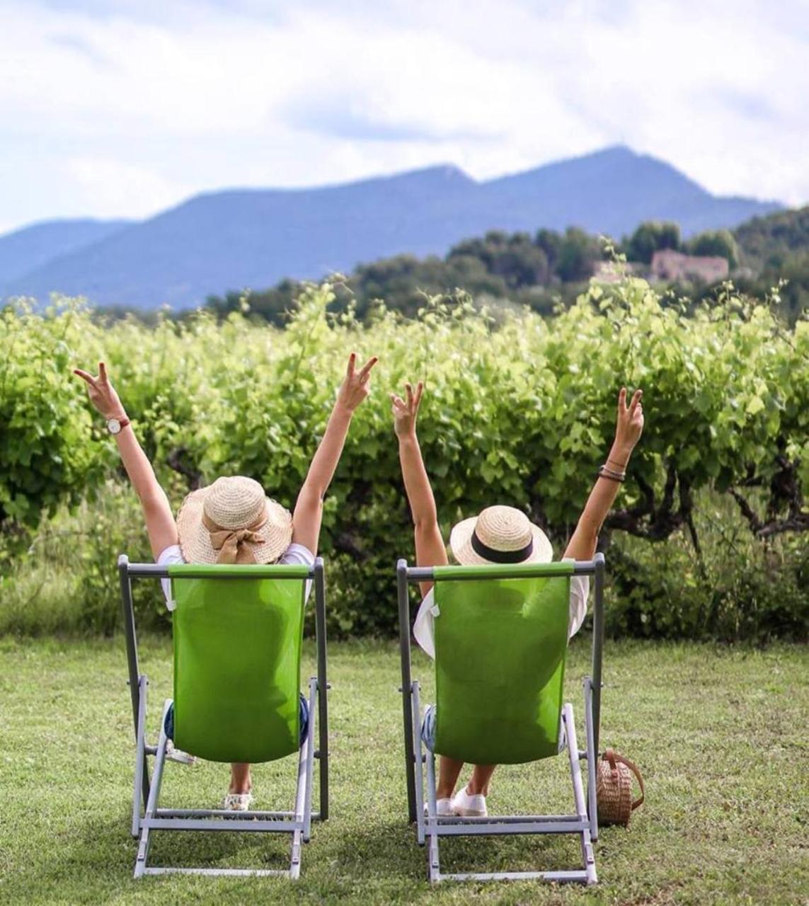 Domaine Des Bridoux Village De Gites Mirabel-aux-Baronnies Zewnętrze zdjęcie